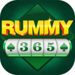 Rummy 365 App